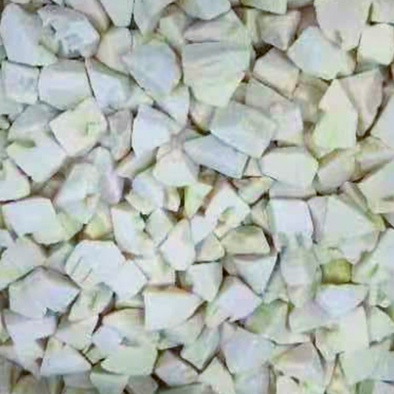 IQF bambusskud skåret
